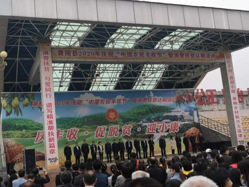 促增收，助脫貧——雙龍鎮參加全縣消費扶貧產品展銷會，開展經營助力打贏脫貧攻堅戰